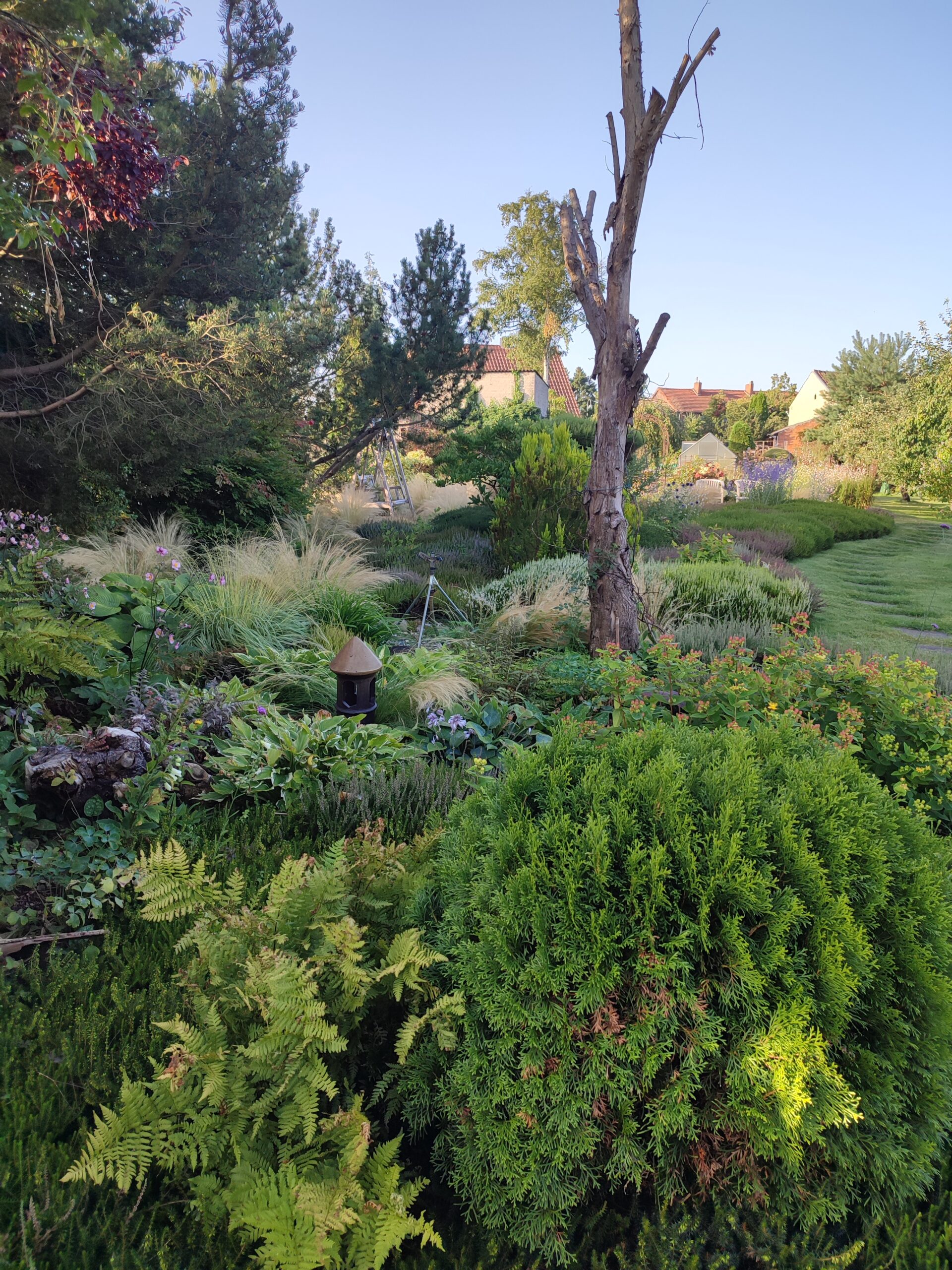 IMG_20250813_075237 (1)