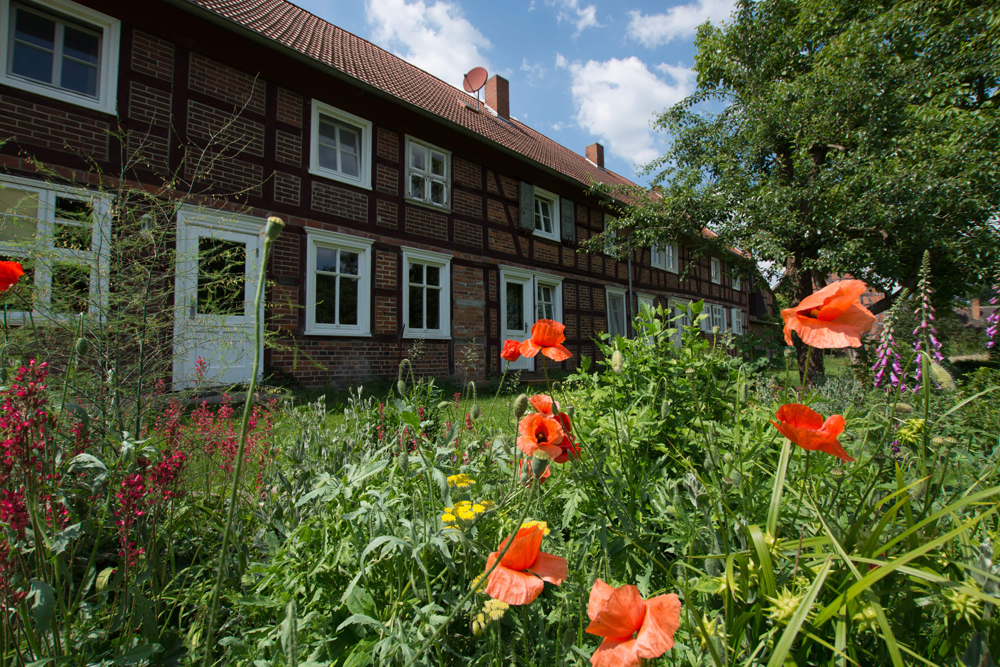 neue wegen_4