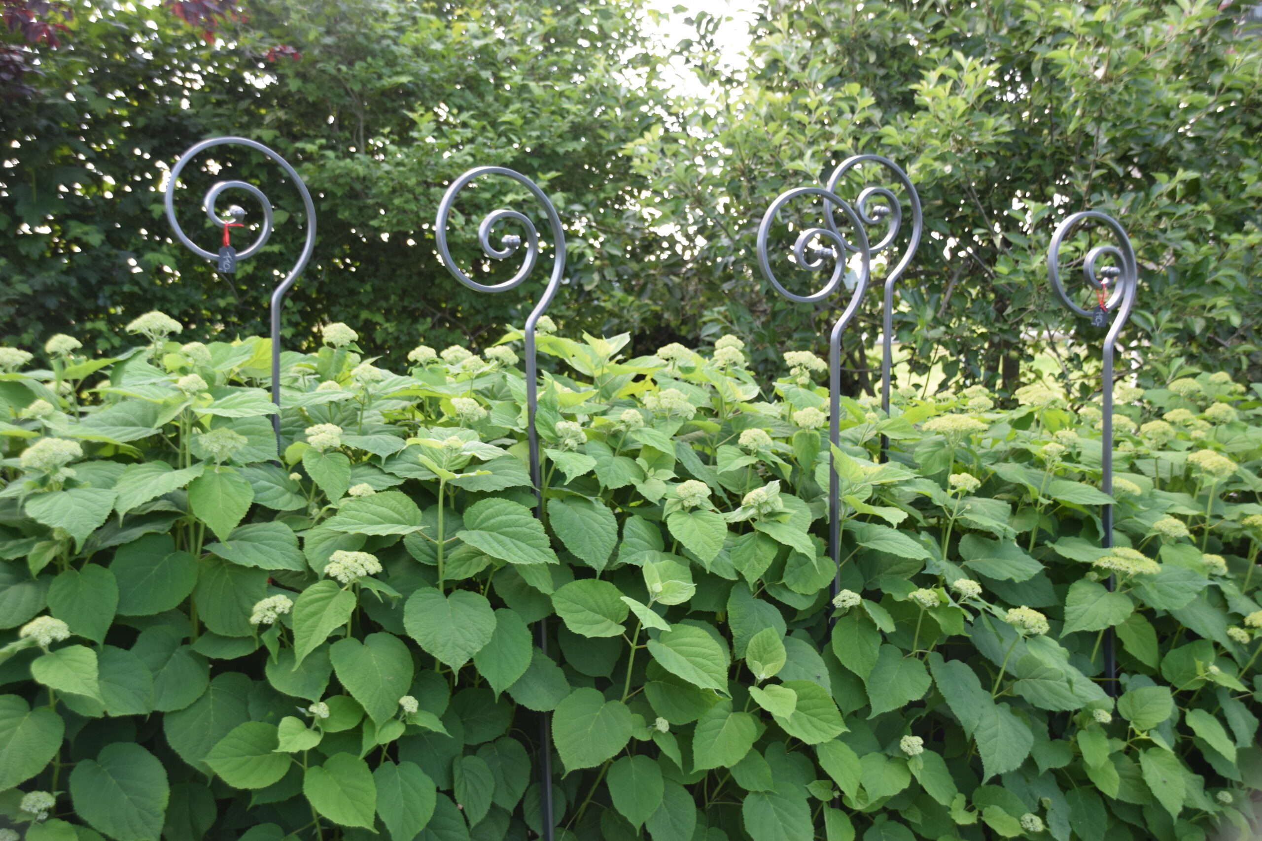 Ipse 44 – Foto Kristin Wießel 02