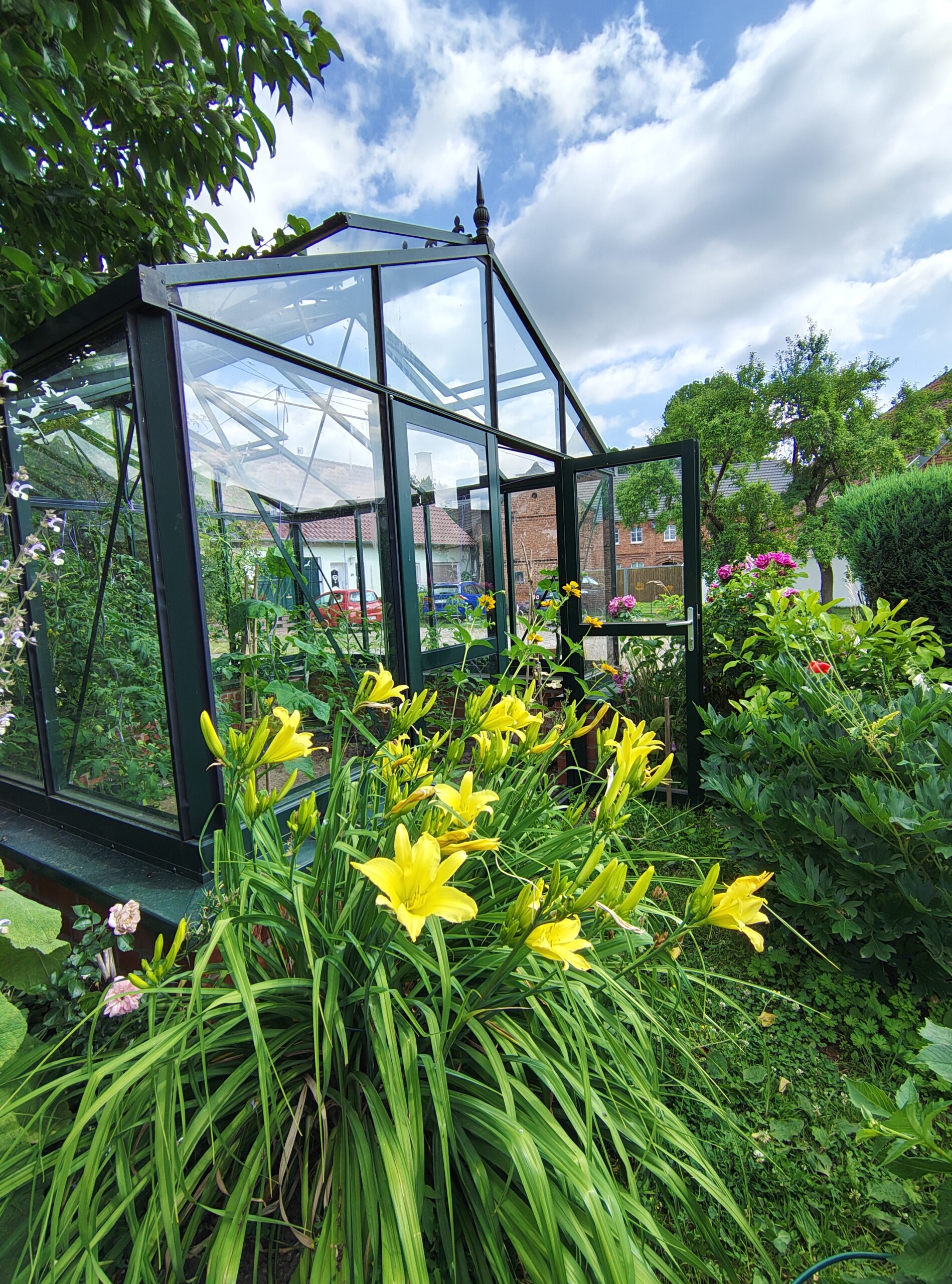 Ipse 46 Mottschall 04