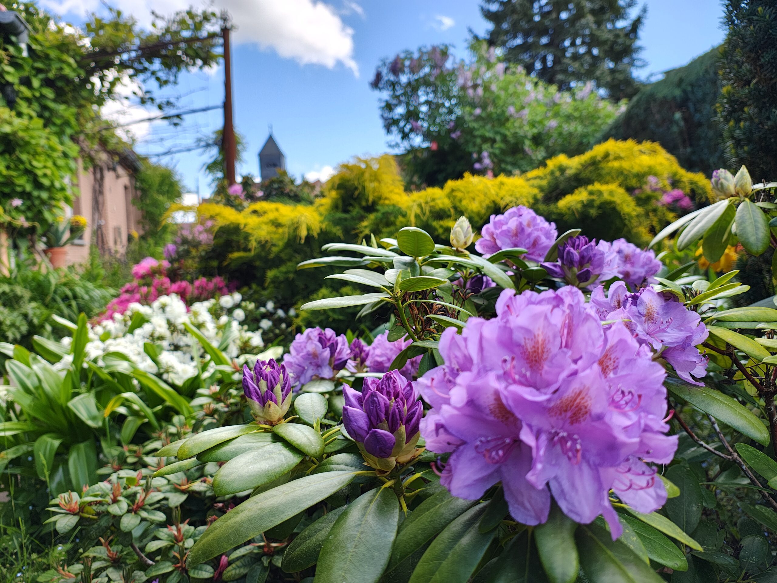 Ipse 46 Mottschall 11