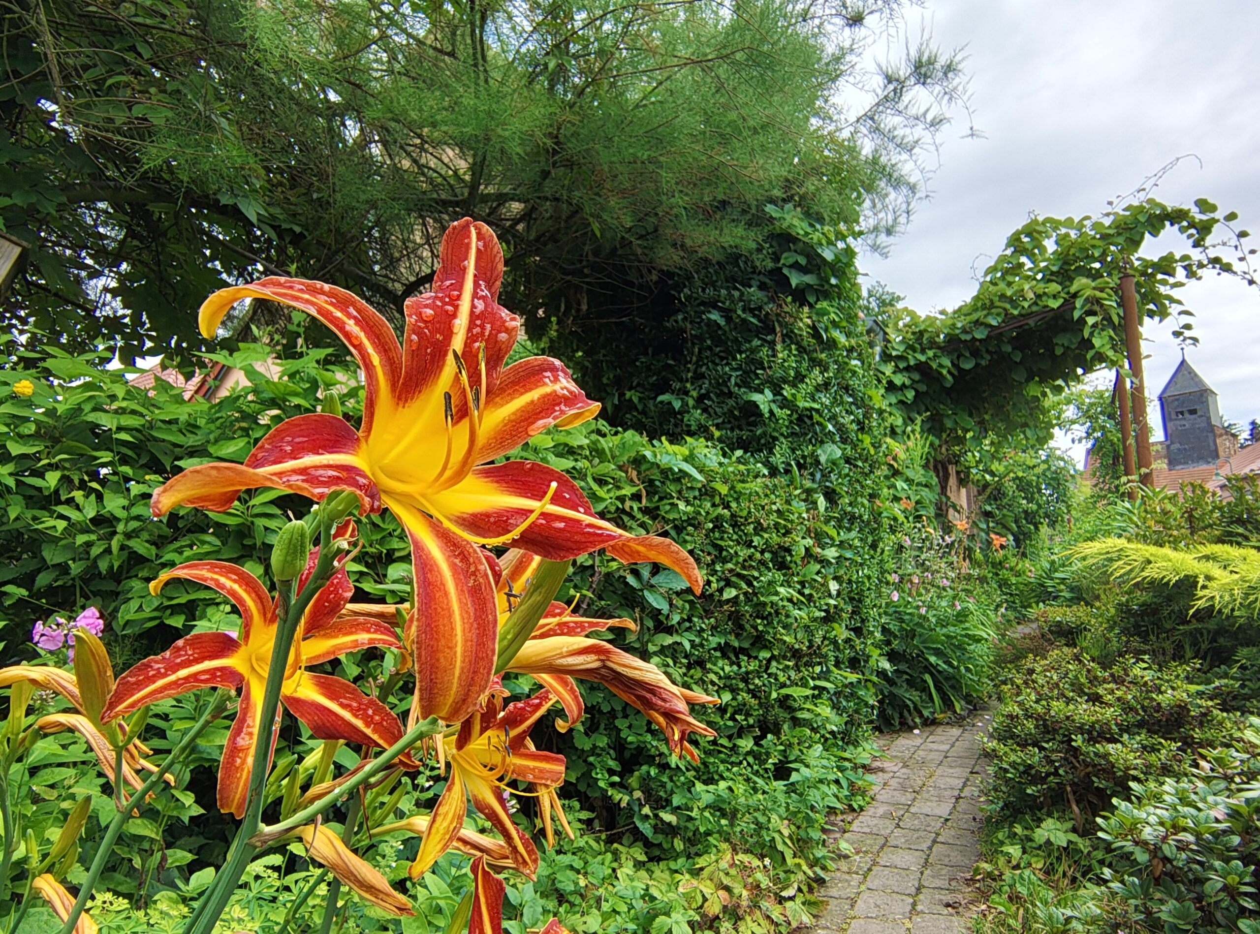 Ipse 46 Mottschall 13