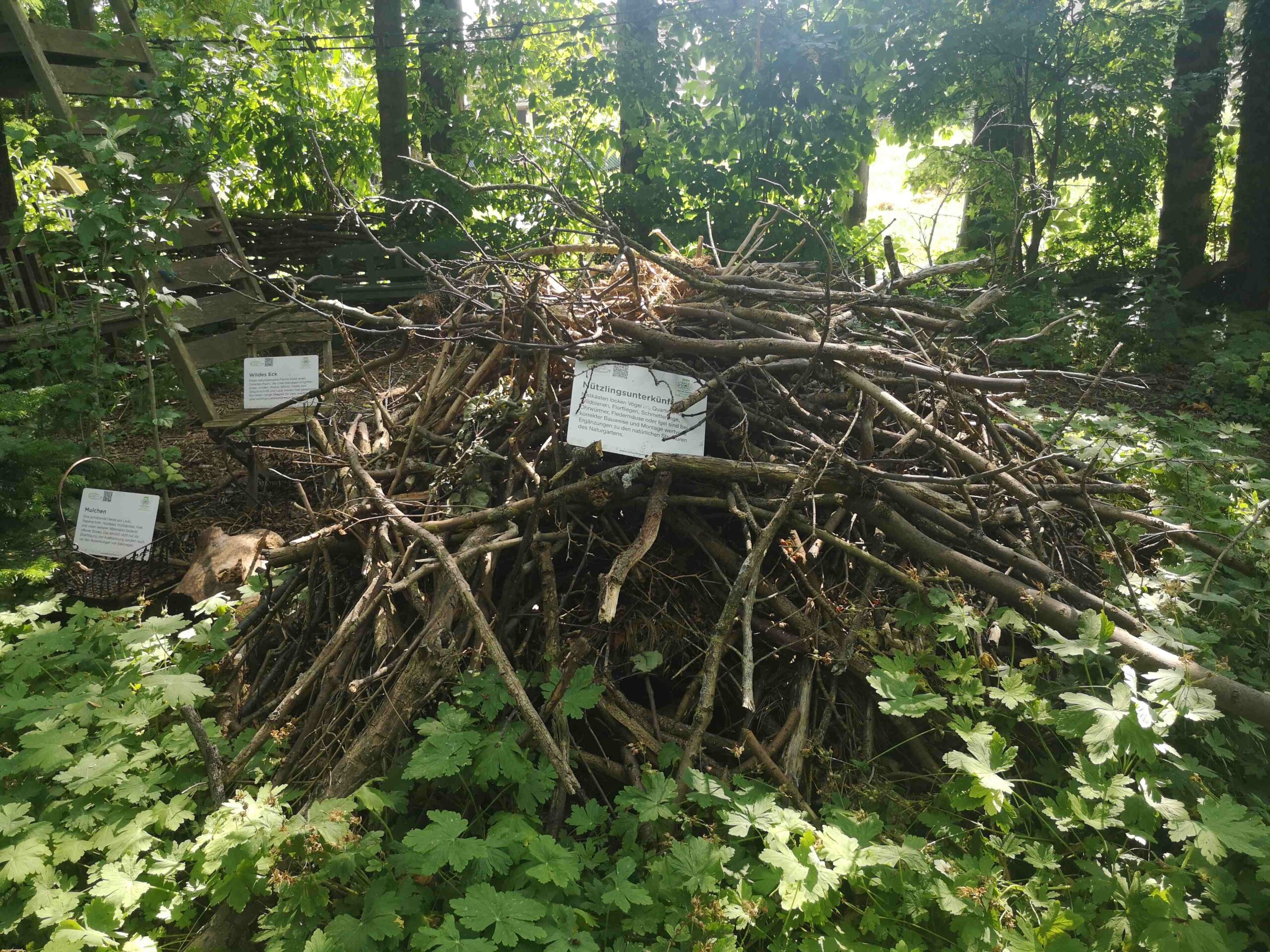 Asthaufen_D. Tüchler Natur im Ga