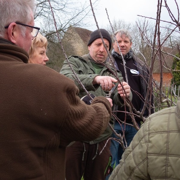 Workshop Gehölze schneiden