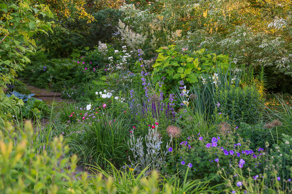 20180604-CS3A9917 – Kopie